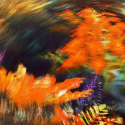 Пазл: Осеннее цветокружение