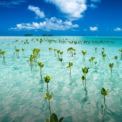 Пазл: Берег моря