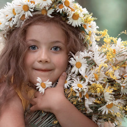 Пазл: Ромашковый букетик