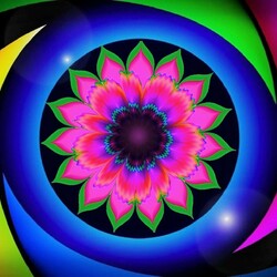 Пазл: В объективе