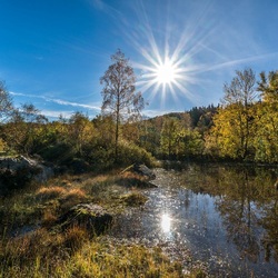 Пазл: Солнце в зените