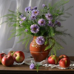 Пазл: Цветут сентябринки