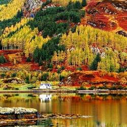 Пазл: Осень в Шотландии