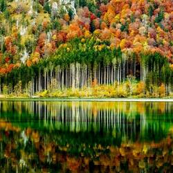 Пазл: Осенние краски