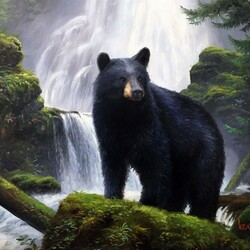 Пазл: Медведь в дымных горах
