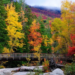 Пазл: Осенний пейзаж