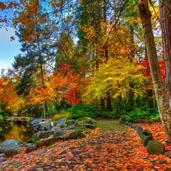 Пазл: Яркие краски осени