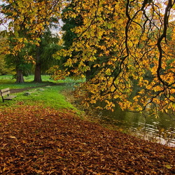 Пазл: Осенний пейзаж