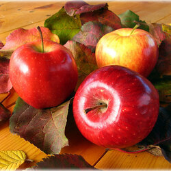 Пазл: Наливные яблочки