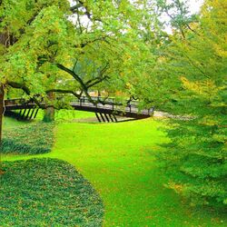 Пазл: 50 оттенков зеленого