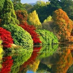 Пазл: Осенняя палитра