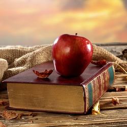 Пазл: Недочитанная книга