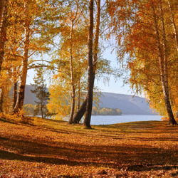 Пазл: Теплая осень