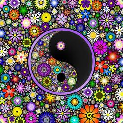 Пазл: Инь-Ян