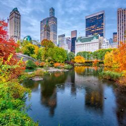 Пазл: Осень в Центральном парке