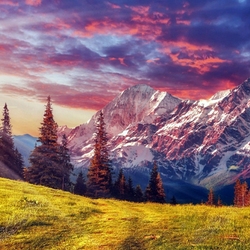 Пазл: Альпийское высокогорье