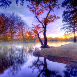 Пазл: Тишина