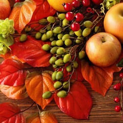 Пазл: Осенний натюрморт