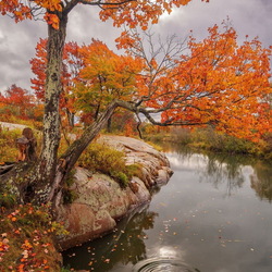 Пазл: Осенний пейзаж