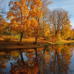 Пазл: Осенний пейзаж