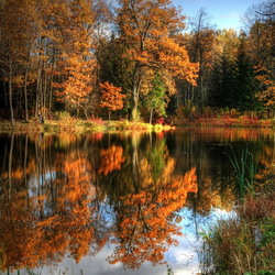 Пазл: Осенний пейзаж