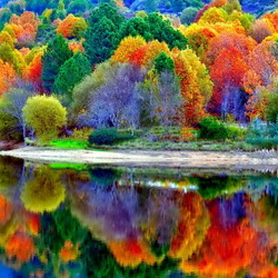 Пазл: Яркие краски осени