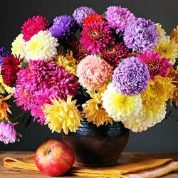 Пазл: Букет астр