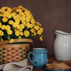 Пазл: Желтые цветы