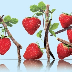 Пазл: Клубничка