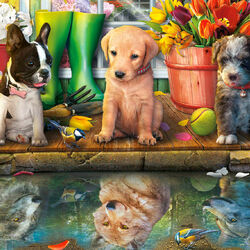 Пазл: Щенячьи мечты