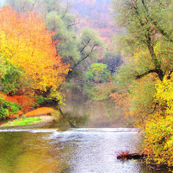 Пазл: Осенняя река