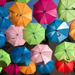 Пазл: Зонтики