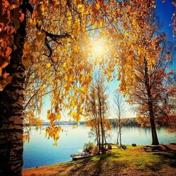 Пазл: На осеннем берегу