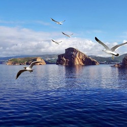 Пазл: У моря