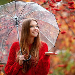 Пазл: Гроздья рябины красной