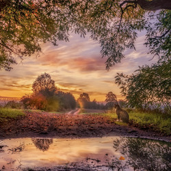 Пазл: Туманная осень