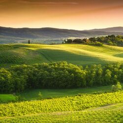 Пазл: Деревенский пейзаж
