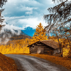 Пазл: Осенняя дорога