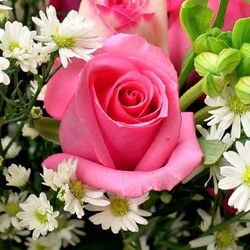 Пазл: Цветущий сад