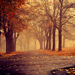 Пазл: Время осени