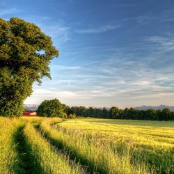 Пазл: Деревенский пейзаж