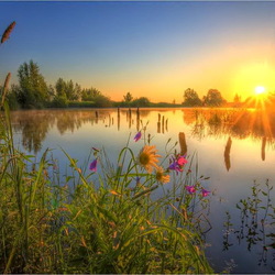 Пазл: Утро на озере