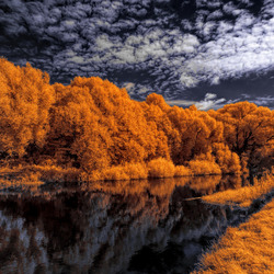 Пазл: Осень