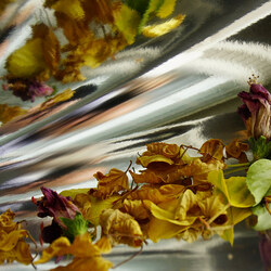 Пазл: Осенний блюз