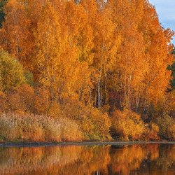 Пазл: Осеннее озеро