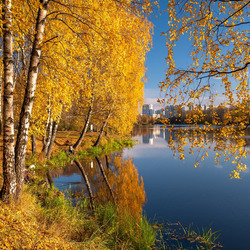Пазл: Осень в России