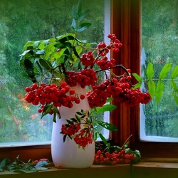 Пазл: Плохая погода