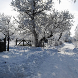 Пазл: Зимняя улица