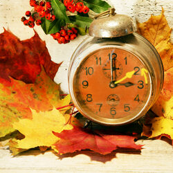 Пазл: Осеннее время