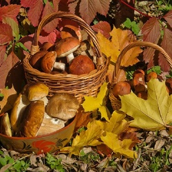 Пазл: Золотая осень